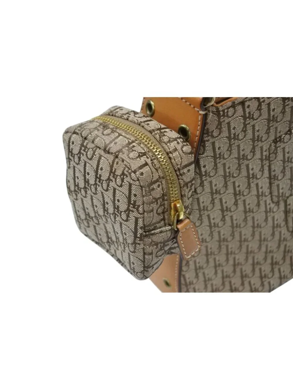 Dior Bag Street Chic Trotter Line Beige Brown Gold